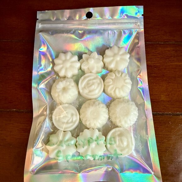 NEW WAX MELTS 2.12oz Bath & Body Works Candle Wax Melts - EUCALYPTUS SPEARMINT - Picture 3 of 4